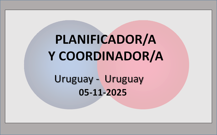 Planificador/a y Coordinador/a