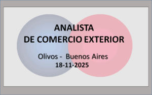 Analista de Comercio Exterior