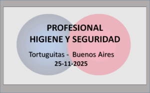 Profesional en Higiene y Seguridad