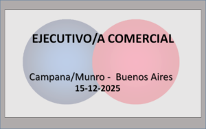 Ejecutivo/a Comercial