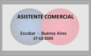 Asistente Comercial