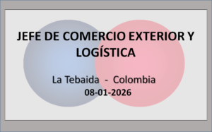 Jefe de Comercio Exterior y Logística