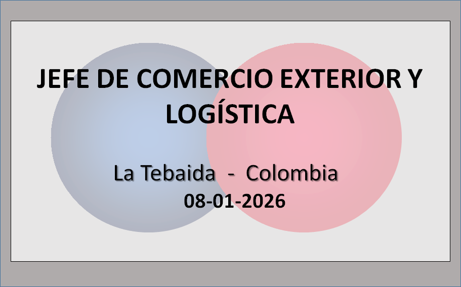 Jefe de Comercio Exterior y Logística