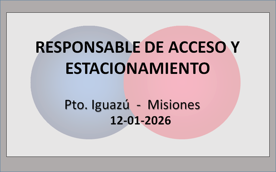 Responsable de Acceso y Estacionamiento