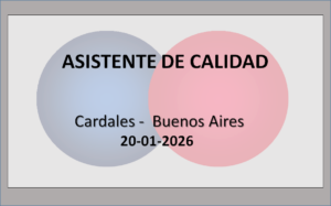 Asistente de Calidad