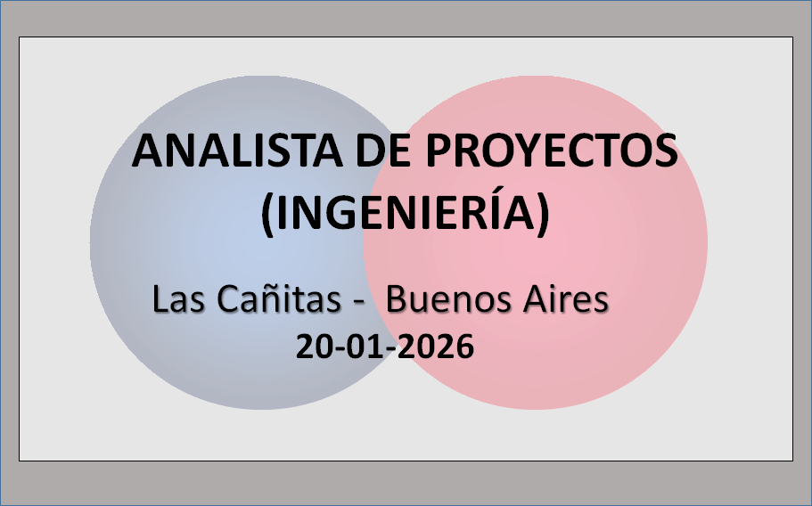 Analista de Proyectos (Ingeniería)