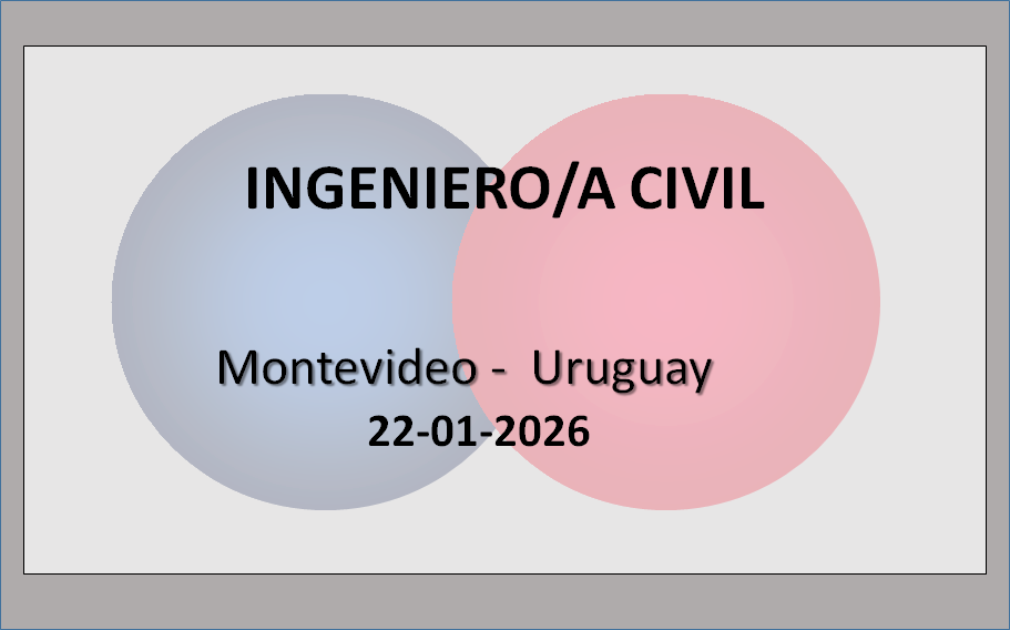 Ingeniero/a Civil