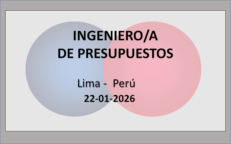 Ingeniero/a de Presupuestos