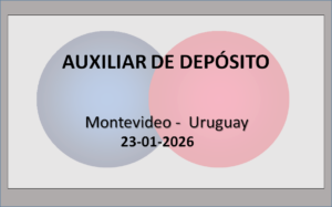 Auxiliar de Depósito