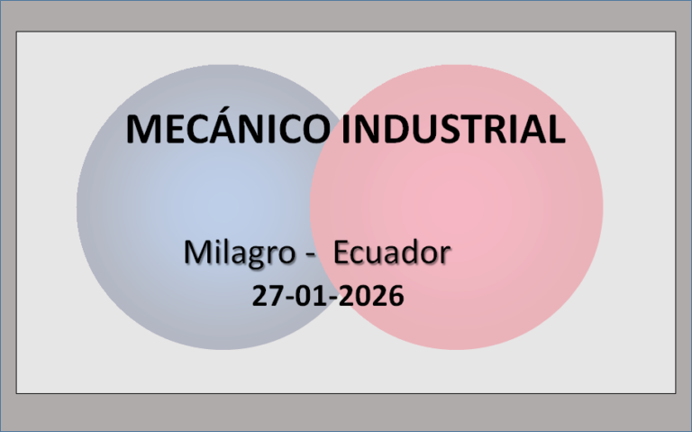 Mecánico Industrial 6 - OL Group Mecánico Industrial