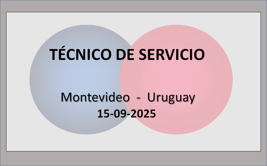 Técnico de Servicio