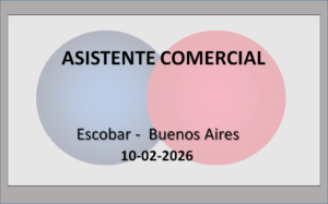 Asistente Comercial y de Presupuestos