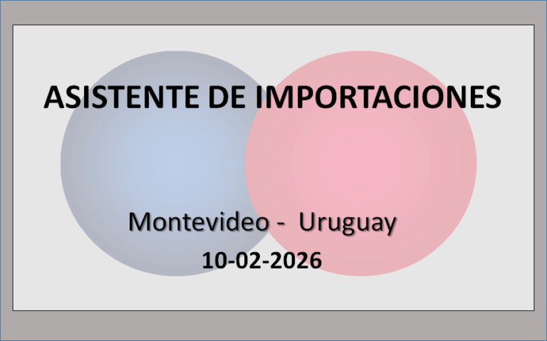 Asistente de Importaciones 7 - OL Group Asistente de Importaciones