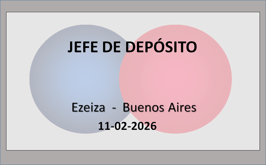 Jefe de Depósito