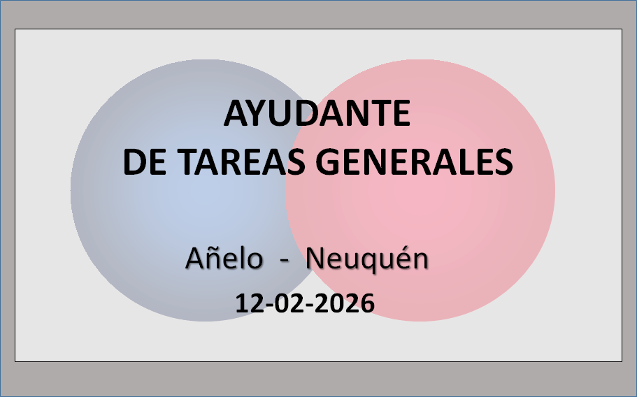 Ayudante de tareas generales