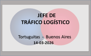 Jefe de Tráfico Logístico