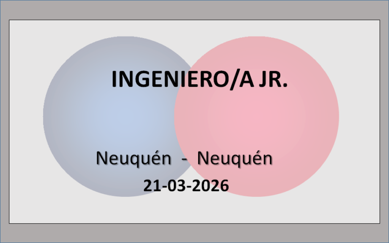 Ingeniero/a Jr