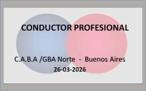 Conductor Profesional