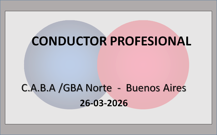 Conductor Profesional