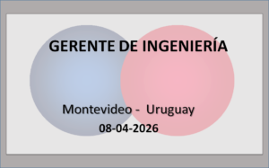 Gerente de Ingeniería