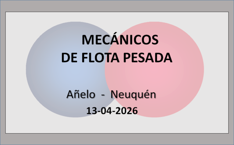 Mecánicos de Flota Pesada