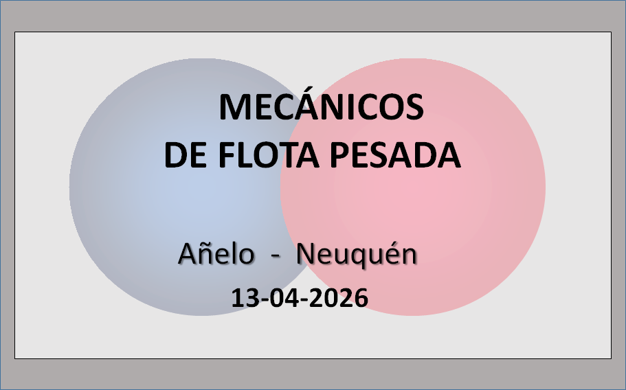 Mecánicos de Flota Pesada