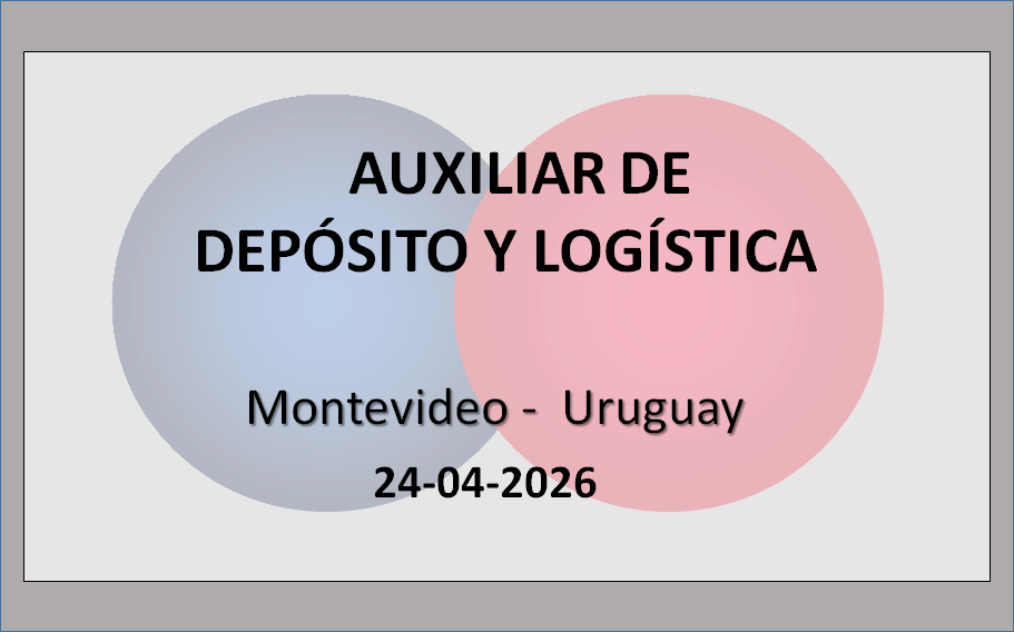 Auxiliar de Depósito y Logística