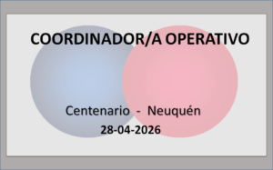 Coordinador/a Operativo