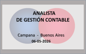 Analista de Gestión Contable