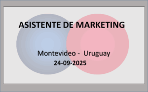 Asistente de Marketing