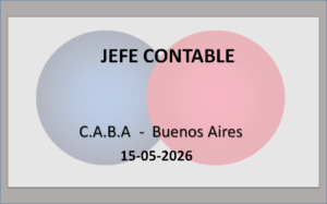 Jefe Contable