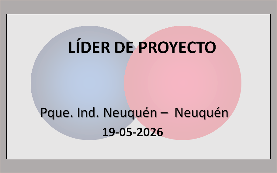 Líder de proyecto