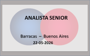 Analista Senior