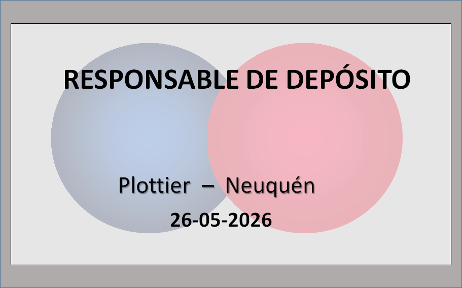 Responsable de Depósito