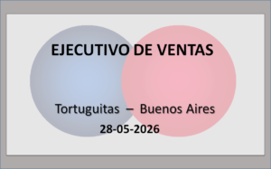 Ejecutivo de Ventas
