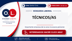 Técnicos/as