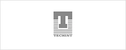 Techint